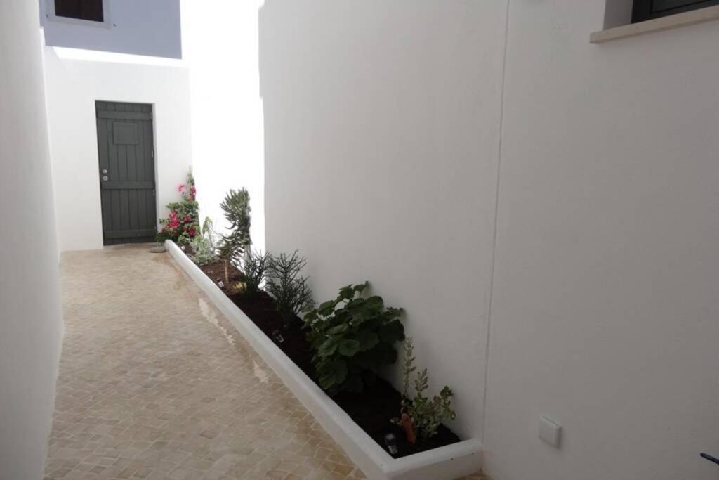 Ti Antonieta Villa Тавира Екстериор снимка